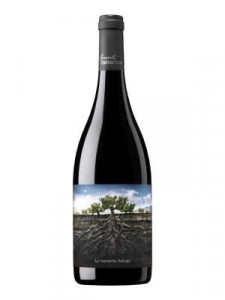 Proyecto Garnachas, Perdida del Pirineo, Vino de Espana, dry, red (organic)